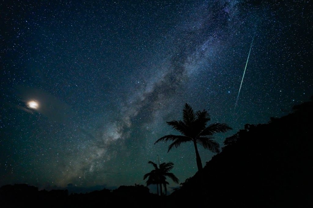 ヤシと天の川・流れ星